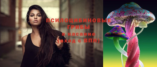 шишки Осинники