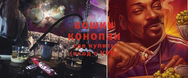шишки Осинники