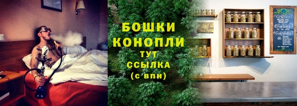 шишки Осинники