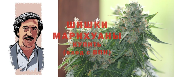 шишки Осинники