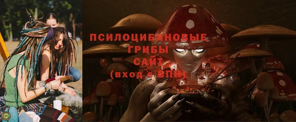 гашик Остров