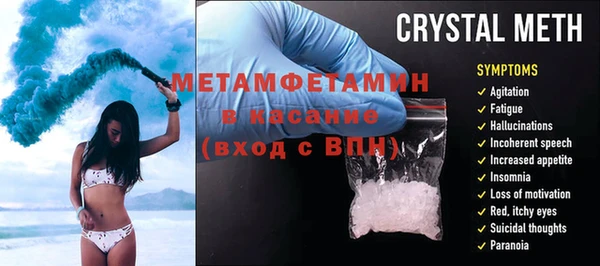 шишки Осинники