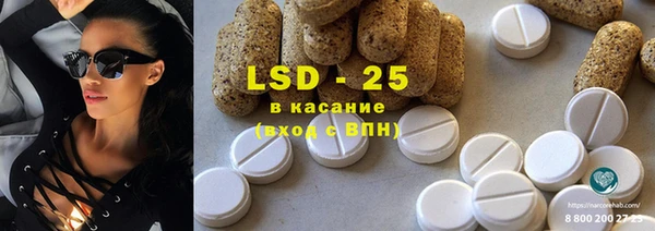 шишки Осинники