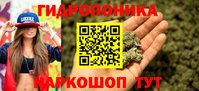 тгк Гусь-Хрустальный