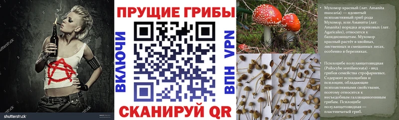 Галлюциногенные грибы Cubensis  наркошоп  Нальчик 