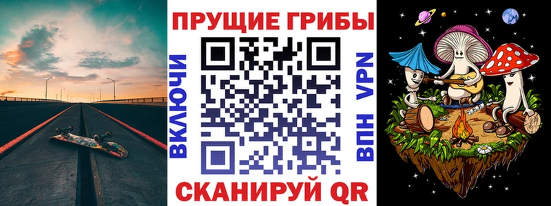 Галлюциногенные грибы Cubensis Нальчик