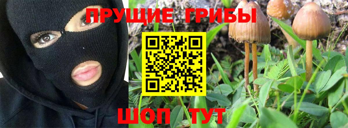 Галлюциногенные грибы ЛСД Нальчик